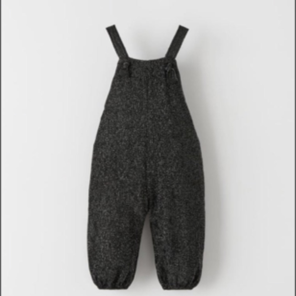 Zara Sparkly Velvet Jumpsuit